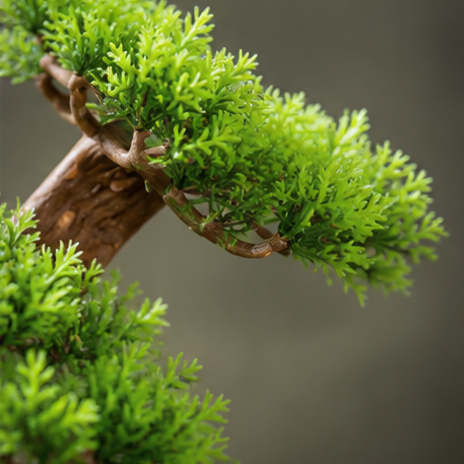 Eternal Bonsai