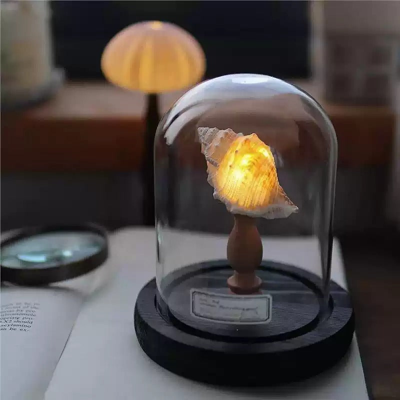 Ocean Lamp