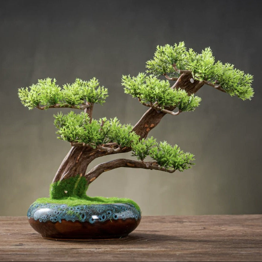 Eternal Bonsai